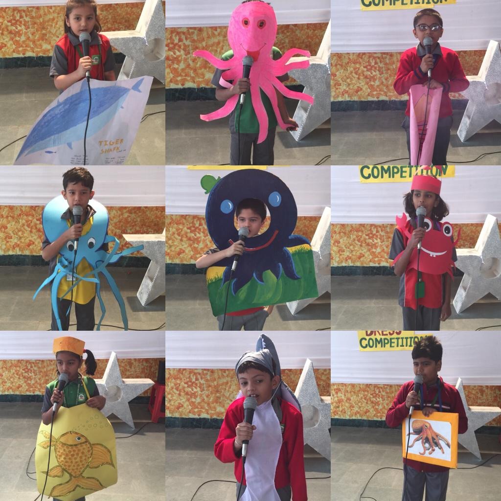 imgi_15_48277519_275230093183408_3304594820189650944_n